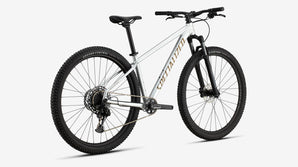 ROCKHOPPER EXPERT SILDST/BNTGLDMET XXL - 29 PEACHTREE-BIKES-BIKE-SHOP-NEAR-ME