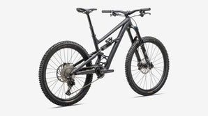 STATUS 170 2 OBSD/DUNEWHT S1 PISGAH-ASHEVILLE-SYLVA-HENDERSONVILLE