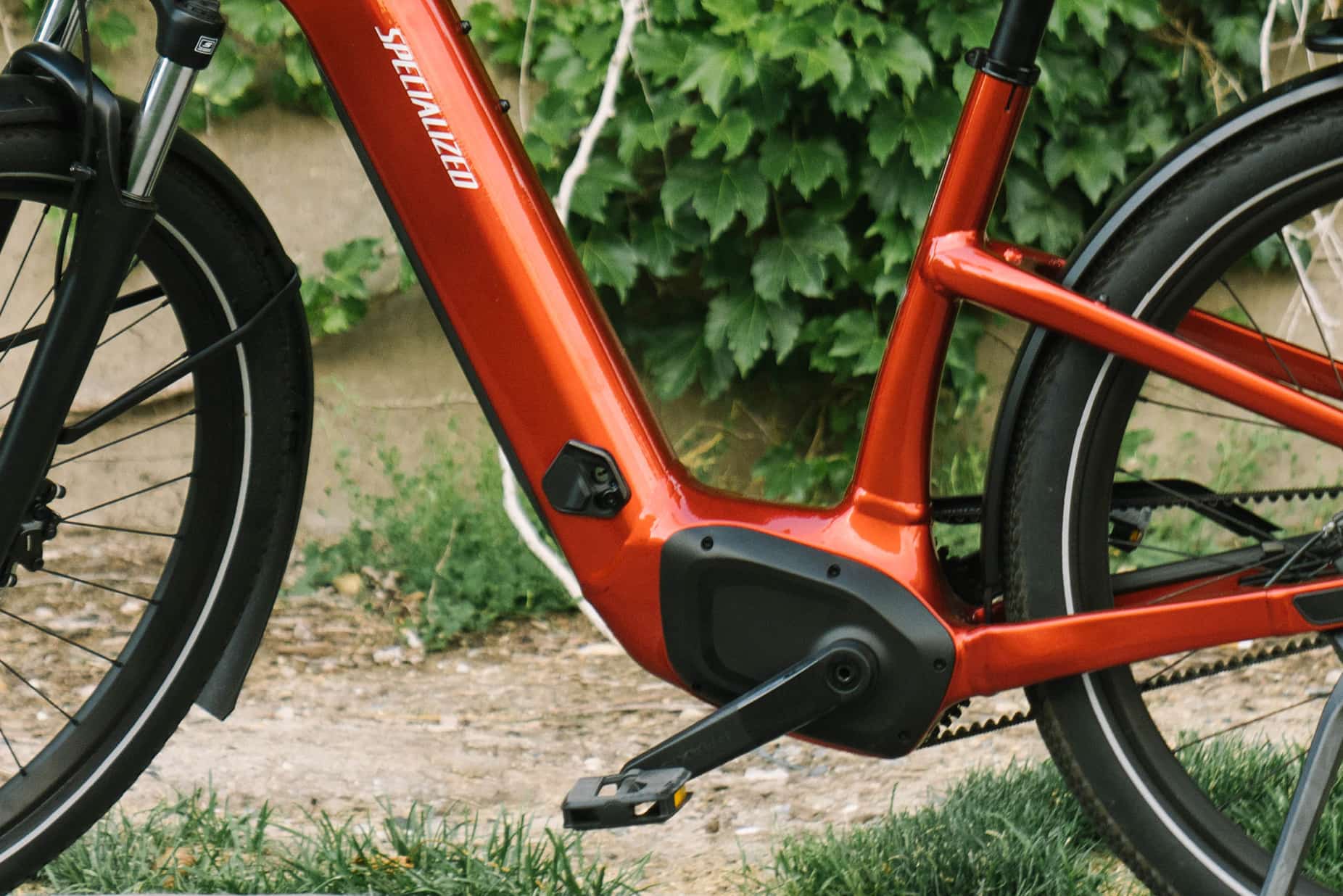 Sale Bikes!