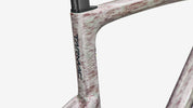 Specialized S-Works Tarmac SL9 Frameset - Gloss Dolomite Metallic / Chrome - Detail View