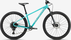 91822-3106-Specialized-Rockhopper-Expert-29