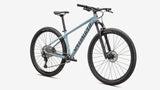 Shop-for-91822-4306-Specialized-Rockhopper-Elite-29