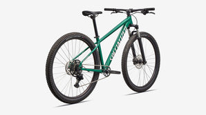 ROCKHOPPER SPORT PNGRN/DSRTRS M - 29 PEACHTREE-BIKES-BIKE-SHOP-NEAR-ME