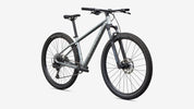 Specialized Rockhopper Comp - Satin Shadow Silver / Silver Dust - Front 3/4 View