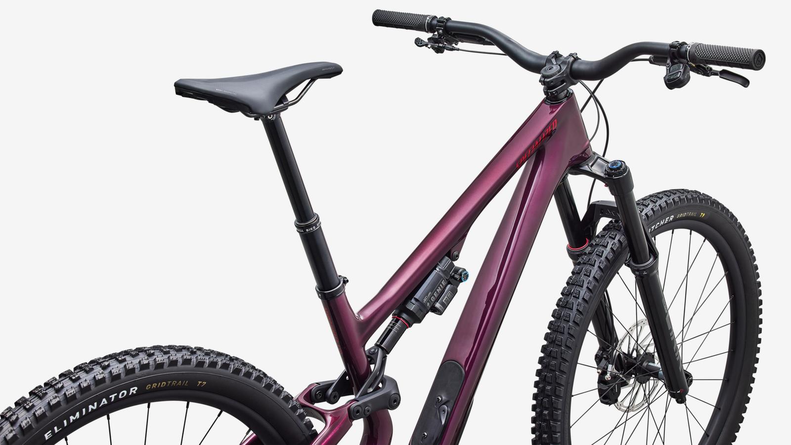 Stumpjumper 15 EVO Expert