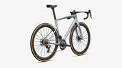 Specialized S-Works Tarmac SL9 - Satin Silver Dust / Gloss Chrome - Rear 3/4 View