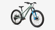 Specialized Riprock Comp 24 - Gloss Agave Grey / Oak Green Metallic - Front 3/4 View