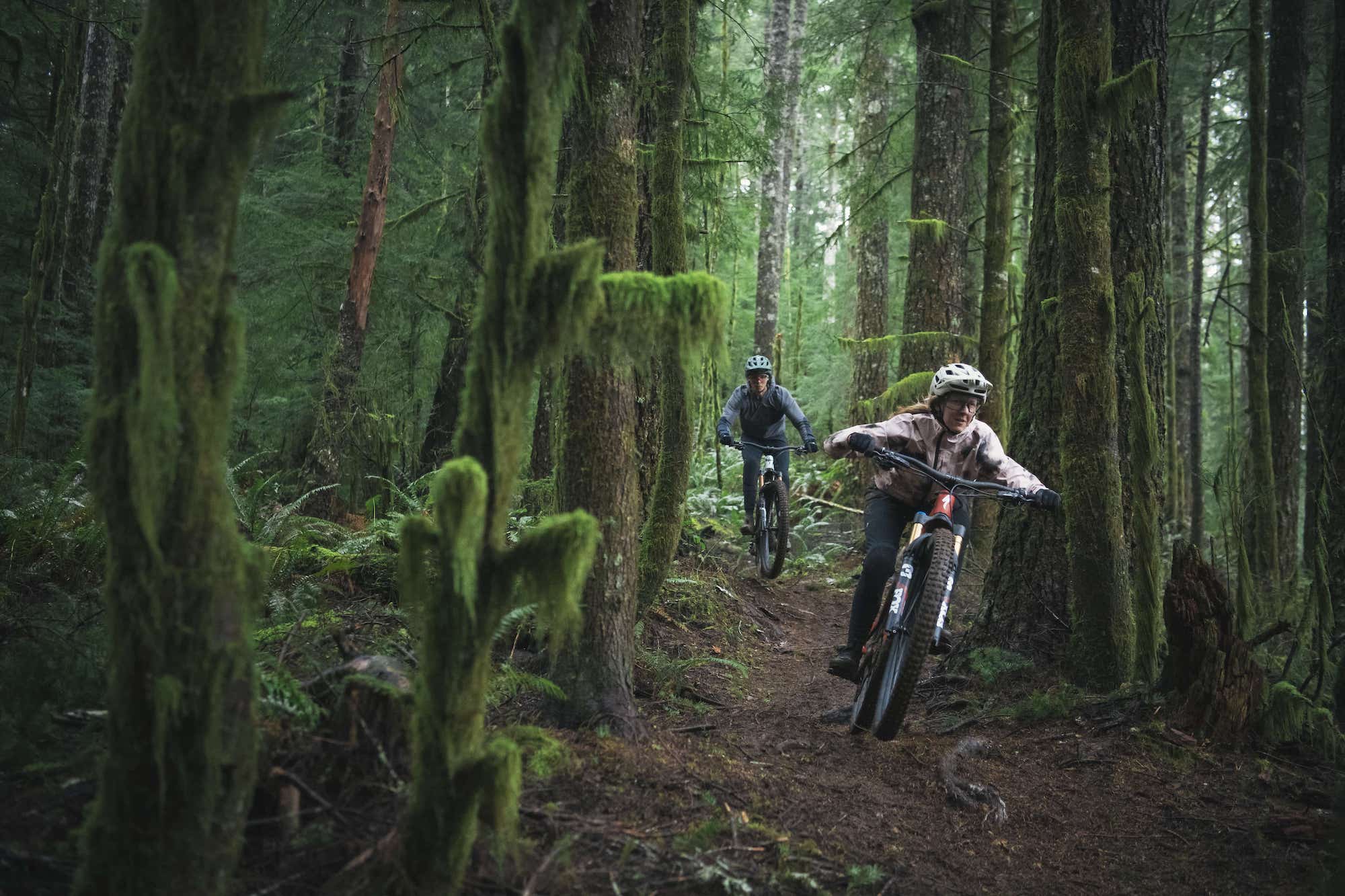 Levo Electric Mountain Bike Unmatched Power & Range Peachtree Bikes